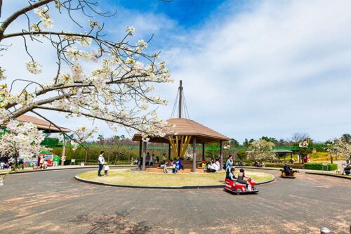 batterycar-003