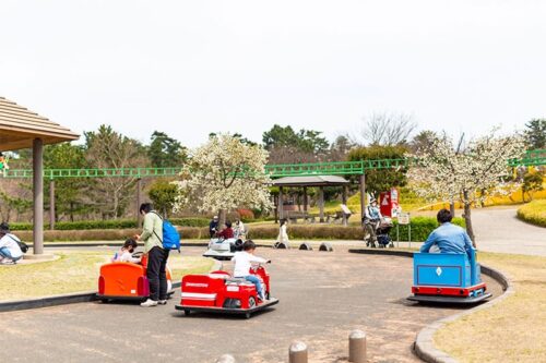 batterycar-004